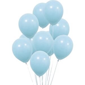 Makaron Mavi Pastel Balon 12"